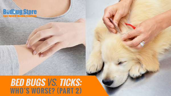 Bed Bugs vs. Ticks: Who’s Worse? (Part 2)
