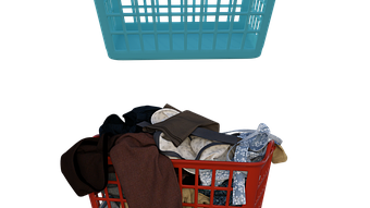 Dirty Clothes Bring Home Bed Bugs?