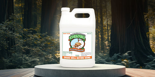 Natural Alternatives Work 100% of the Time to Kill Bed Bugs