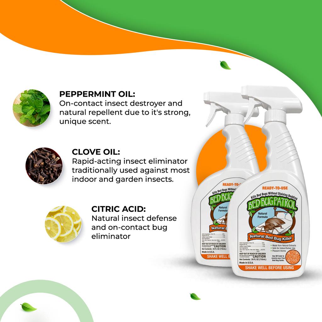 Natural bed bug deals killer