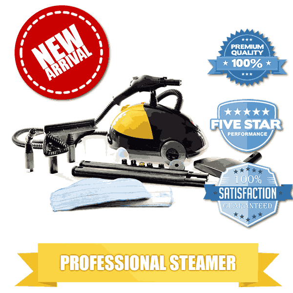 Professional Heavy Duty Steam Cleaner For Bed Bugs