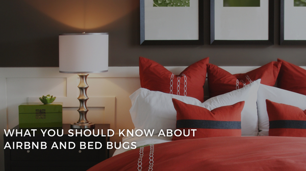 What You Should Know About Airbnb And Bed Bugs