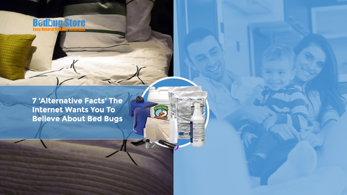 7 "Alternative Facts" the Internet Wants You to Believe About Bed Bugs