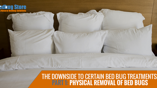 The Downside to Certain Bed Bug Treatments, Part 1: Physical Removal of Bed Bugs