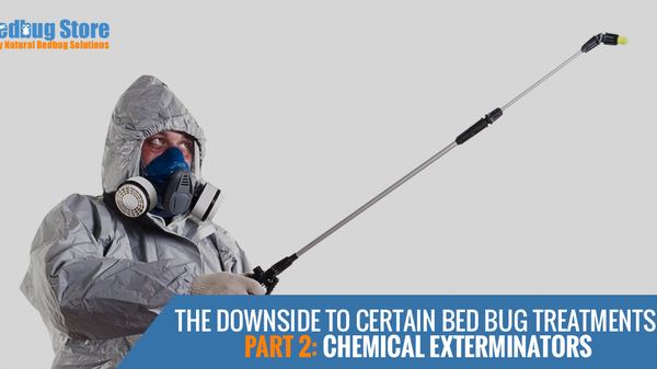 The Downside To Certain Bed Bug Treatments, Part 2: Chemical Exterminators
