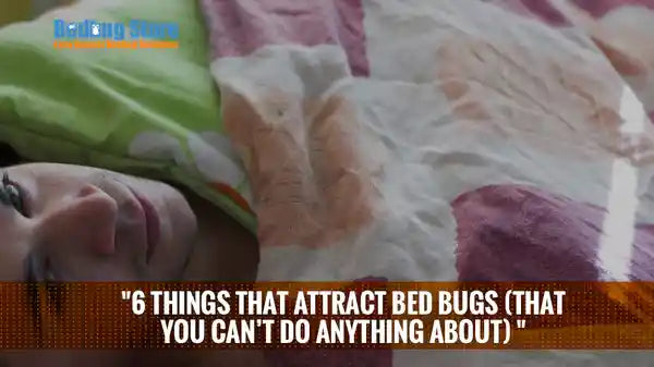 6 Things That Attract Bed Bugs