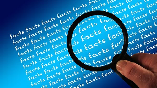 5 Quick Facts You Need to Know About Bed Bugs