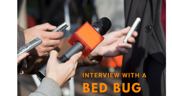 Interview With a Bed Bug