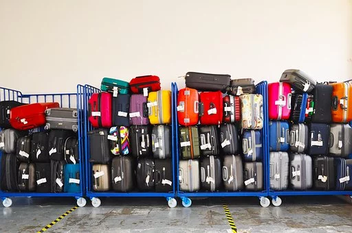 Why Using Brightly Colored Luggage Could Deter Bed Bugs