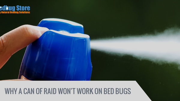 Why a Can of Raid Won’t Work On Bed Bugs