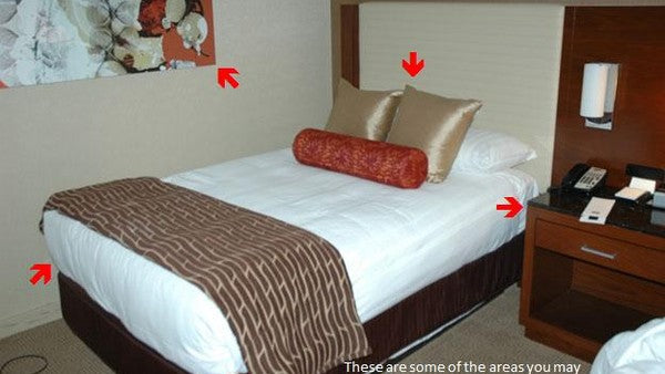 Inspecting Your Hotel Room for Bed Bugs – BB Store