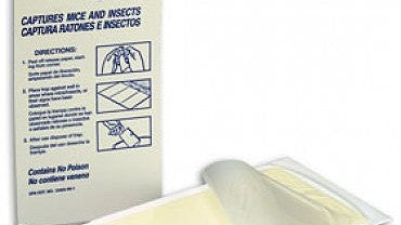 What Makes Our Bed Bug Traps the Best?