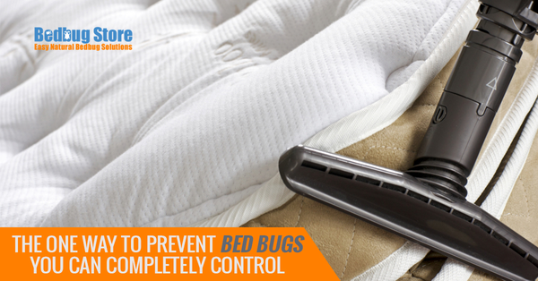 The One Way To Prevent Bed Bugs You Can Completely Control