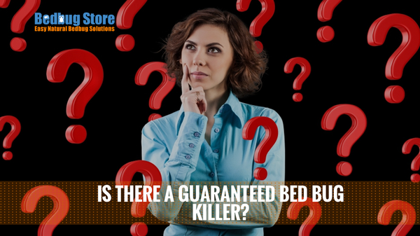 Is There a Guaranteed Bed Bug Killer?