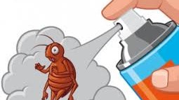 Will Raid Kill Bed Bugs?