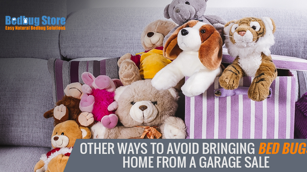 Other Ways To Avoid Bringing Bed Bugs Home From a Garage Sale