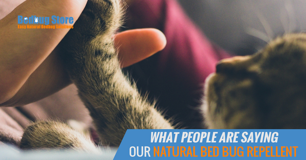What People Are Saying About Our Natural Bed Bug Repellent