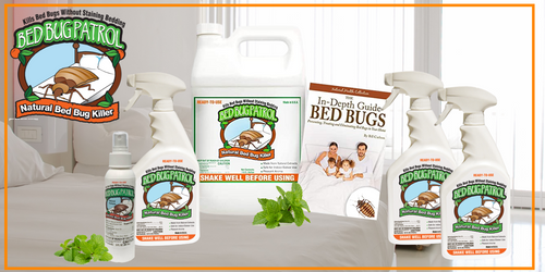 What Happens If The Bed Bug Spray You Choose Doesn’t Work?