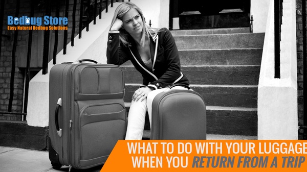 What To Do With Your Luggage When You Return From A Trip