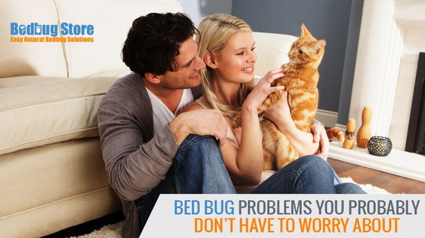 Bed Bug Problems You Probably Don't Have to Worry About