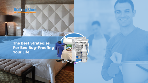 The Best Strategies For Bed Bug-Proofing Your Life