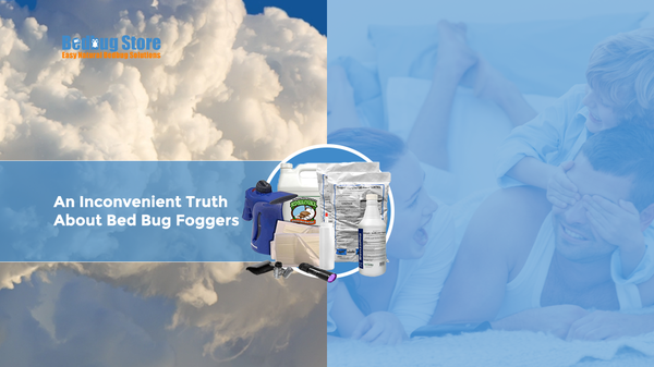 An Inconvenient Truth About Bed Bug Foggers