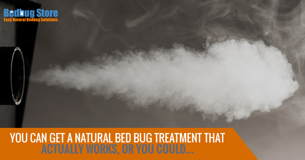 You Can Get An All-Natural Bed Bug Treatment That Actually Works, Or You Could…