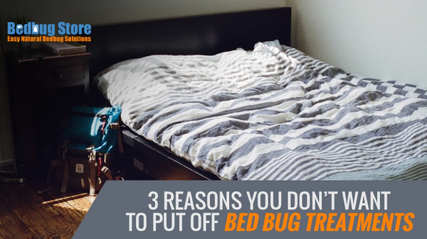 3 Reasons You Don’t Want To Put Off Bed Bug Treatments