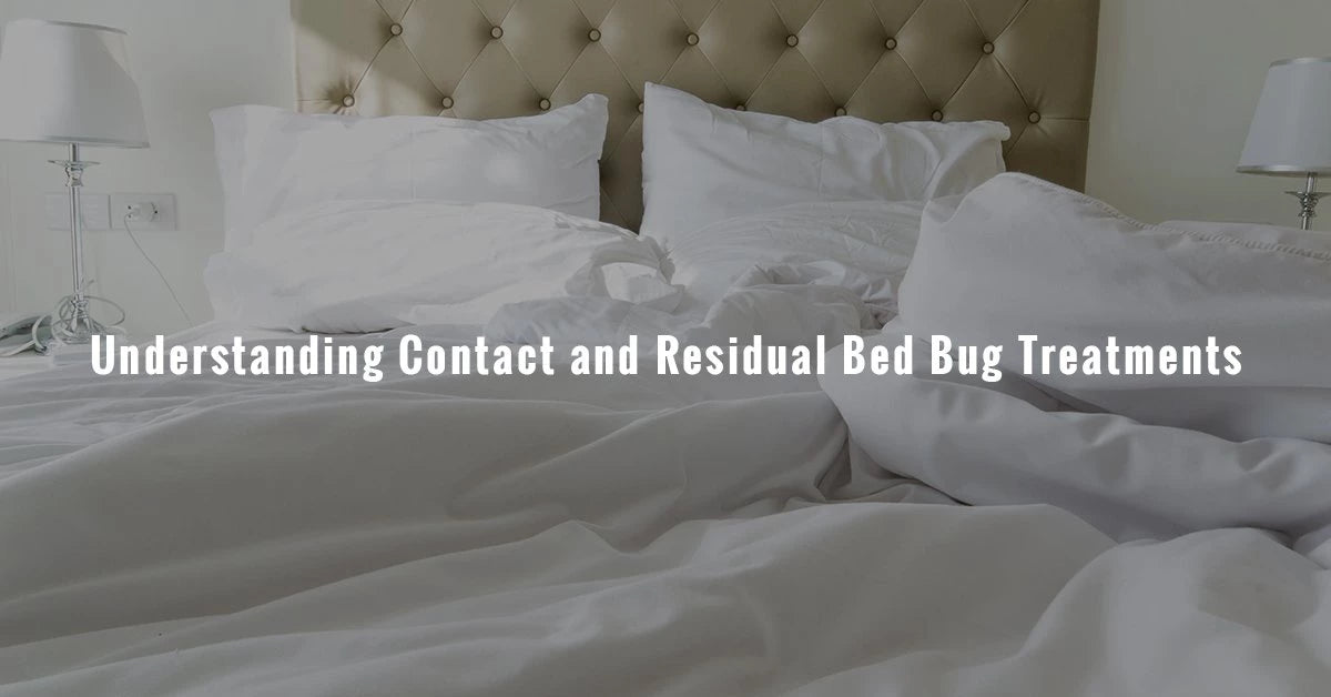 The Benefits of Bed Bug Spray vs Powder