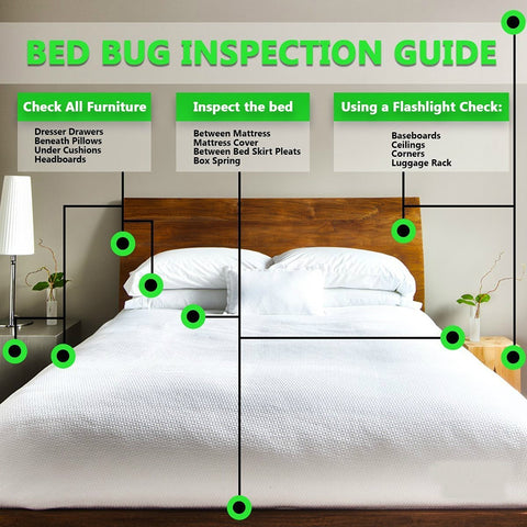 How To Kill Bed Bugs by Bed Bug Patrol