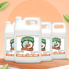 Bed Bug Patrol Bed Bug Killer Spray Treatment | 4 (1-Gallon)| Kills Bed Bugs on Contact, Natural & Non-Toxic, Child & Pet Safe.