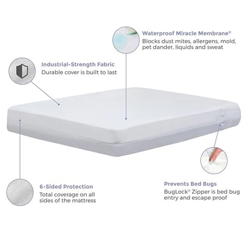 Bed Bug Protection - Mattress Covers & Protectors