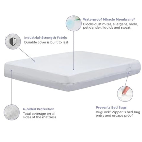 Get Rid Of Bed Bugs