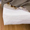 Bed Bug Protection - Mattress Covers & Protectors