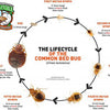 Bed Bug Patrol Tratamiento en aerosol para matar chinches | 24 oz (paquete de 2) | Mata las chinches por contacto, natural y no tóxico, seguro para niños y mascotas. Recomendado para el hogar, colchones y muebles.