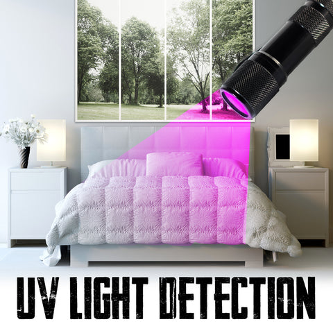 bed bugs UV light detection 