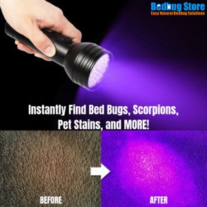 instantly find bed bugs scorpions pet stains and more befor and after image