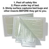 Bed Bug Patrol Bed Bug Killer | 2 - 3 Room Home Protection Pack | 100% Environmentally Friendly, Family & Pet Safe Bed Bug Killer Formula