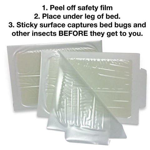 bed bugs room home protection pack