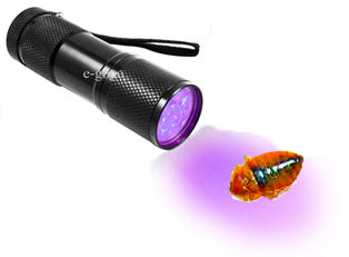 Bed Bug UV Detection Light