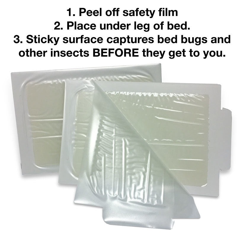 Bed Bug Traps 8-Pack